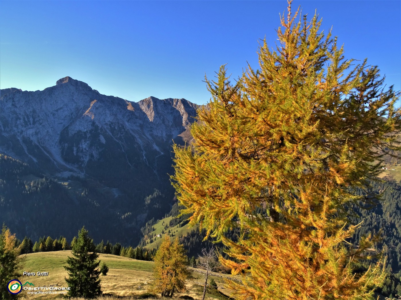 18 Festa di colori con vista in Pegherolo.JPG